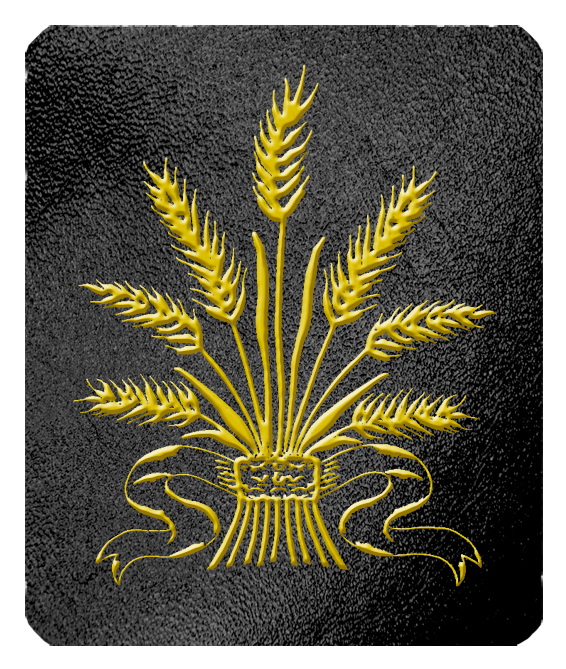 ANEW WHAT bk gd PROOF